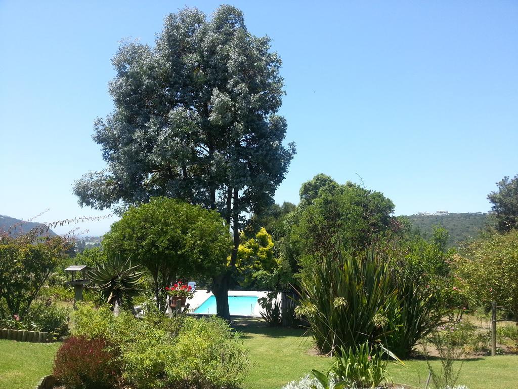 Piesang Valley Lodge Plettenberg Bay Chambre photo