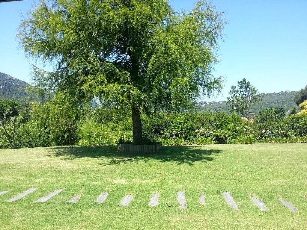 Piesang Valley Lodge Plettenberg Bay Chambre photo