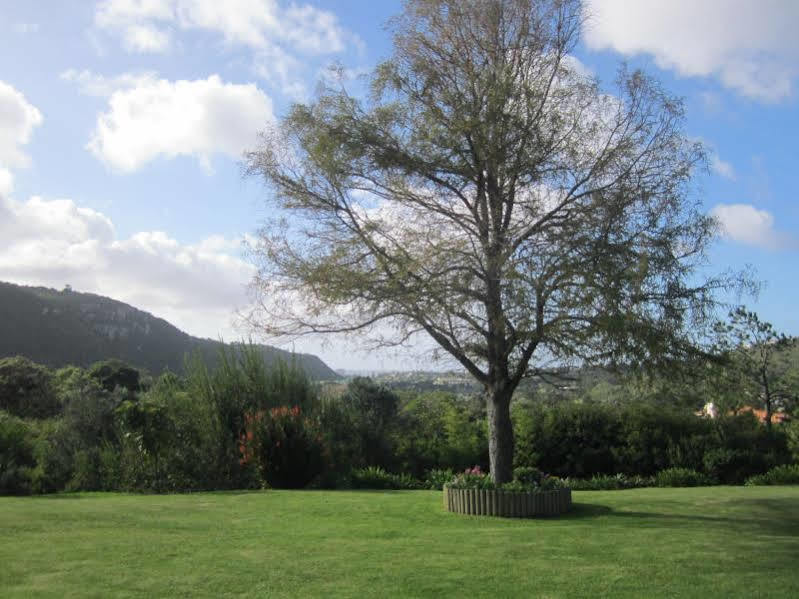 Piesang Valley Lodge Plettenberg Bay Extérieur photo